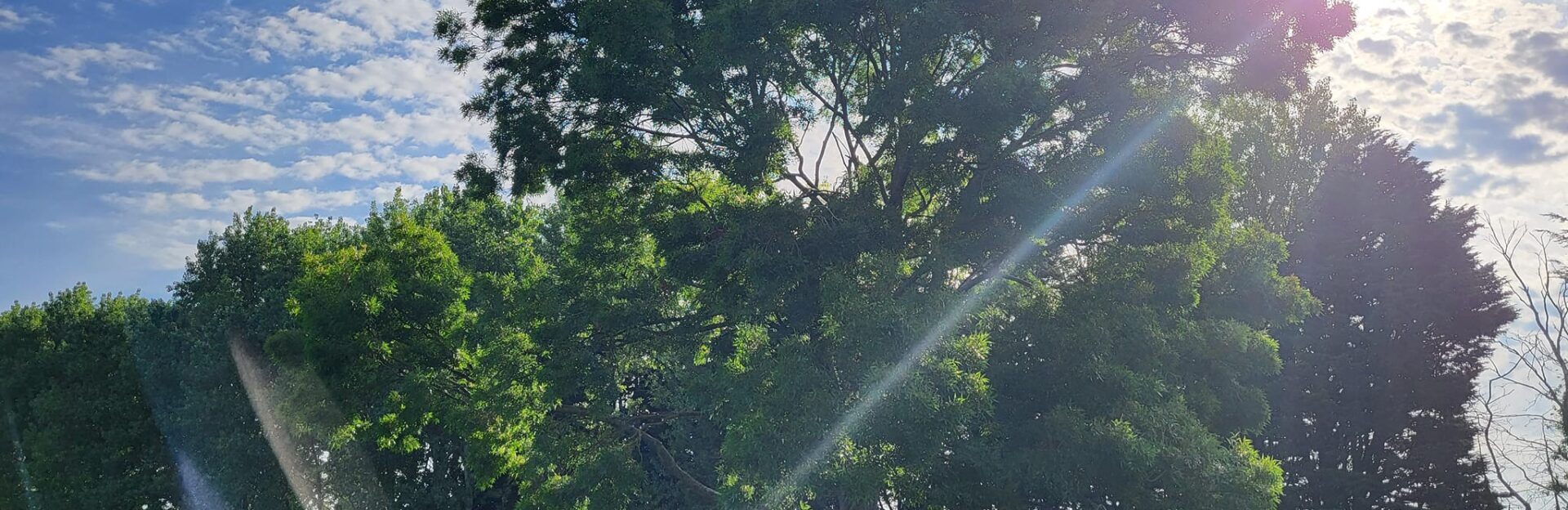 487700247 10087161037979546 1178647887429794050 n