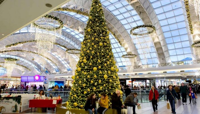 Christmas Shopping Guide