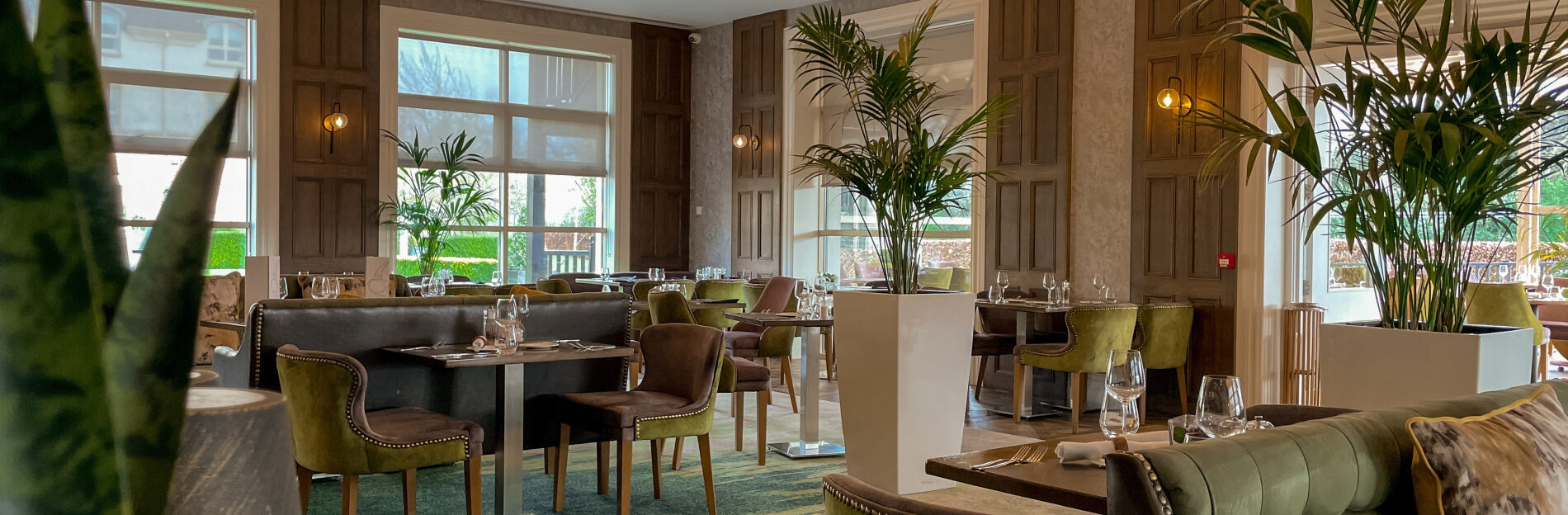 Elegant interior of Earth Vine Restaurant