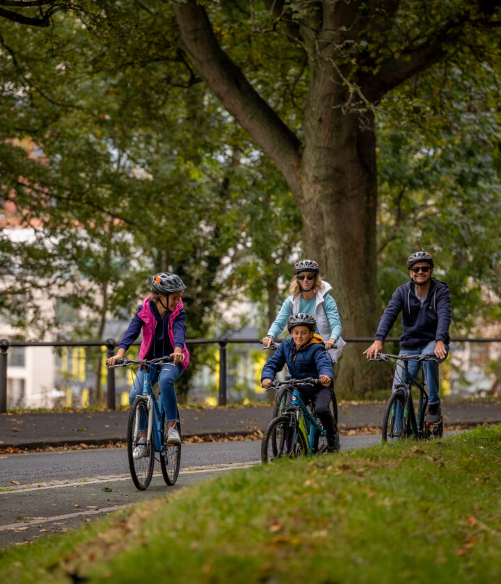 Phoenix Park Dublin city master 1