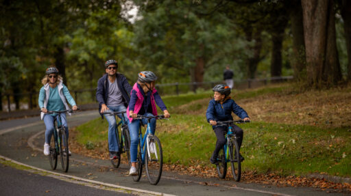 Phoenix Park Dublin city master