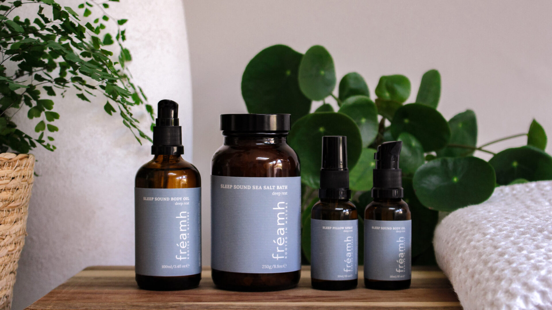 IMG 7986 e1763646640256