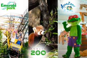 Ultimate Family Package 300 x 200